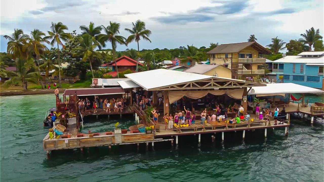 Aqua Lounge Vandrarhem Bocas del Toro Exteriör bild